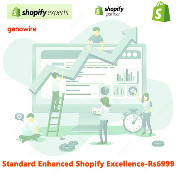 Standard  Enhanced Shopify Excellence